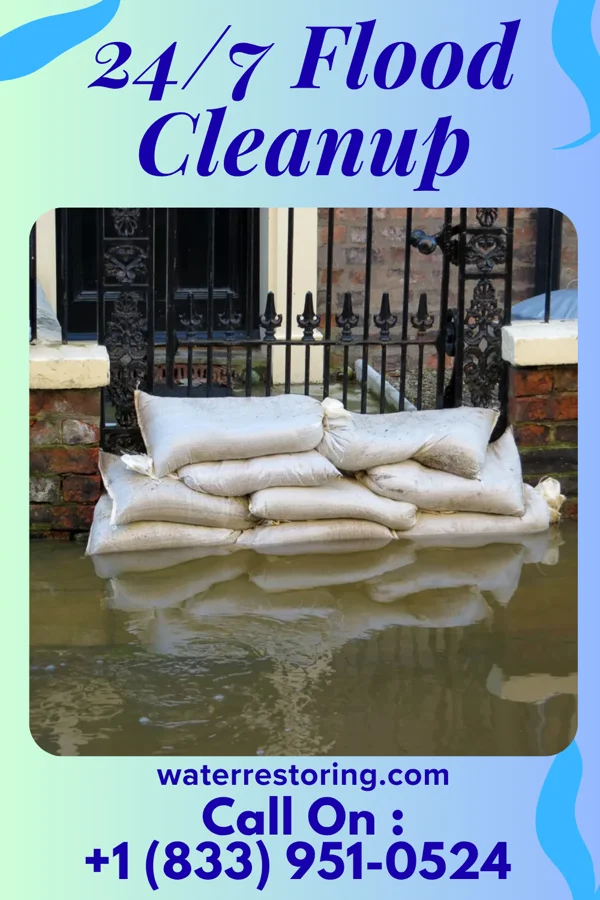 24/7 Flood Cleanup in Birnamwood, WI