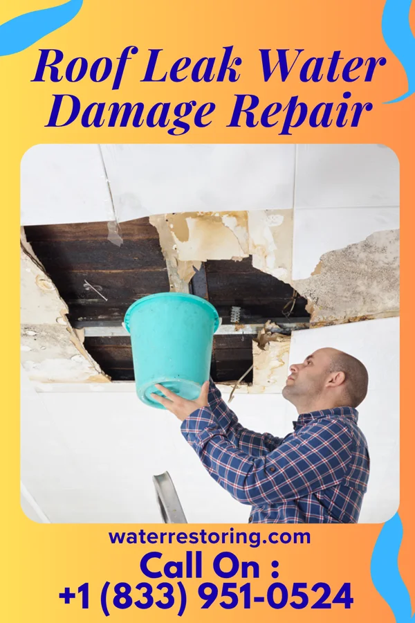 Roof Leak Water Damage Repair in Birnamwood, WI