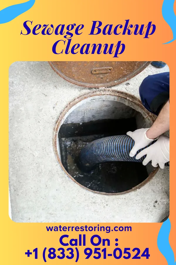Sewage Backup Cleanup in Birnamwood, WI