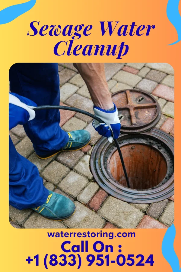 Sewage Water Cleanup in Birnamwood, WI