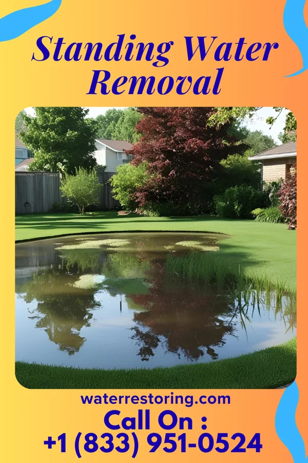 Standing Water Removal in Birnamwood, WI